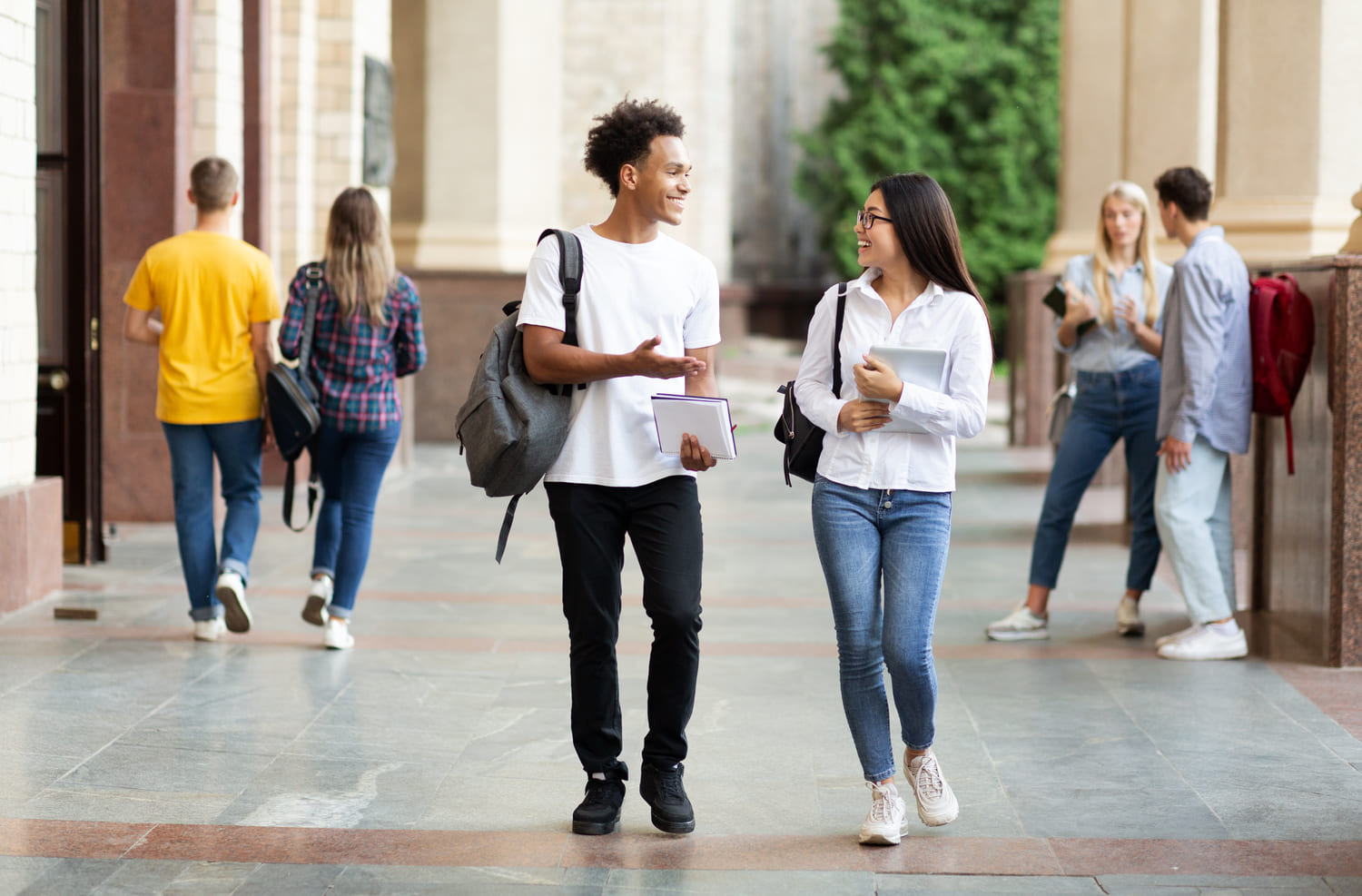 Enrollment jorunery